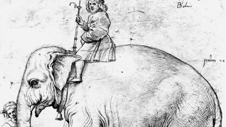 Der Elefant des Papst Leo X