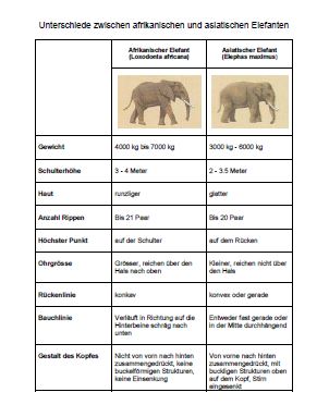Tabelle: Unterschiede zwischen afrikanischen und asiatischen Elefanten